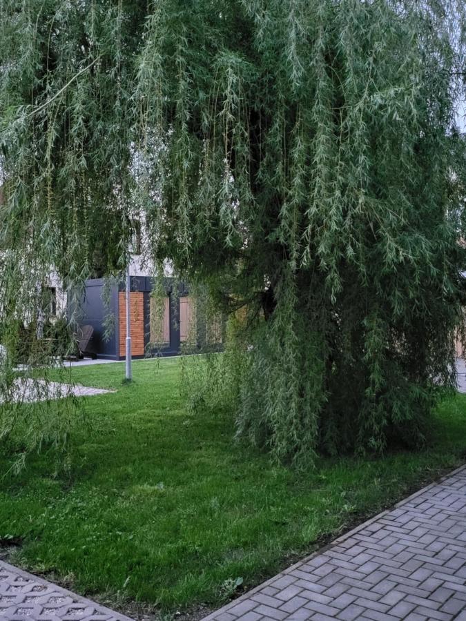 Ferienwohnung Nr2 Grossraeschen Exterior foto